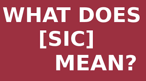 The owner sicked his dogs on the intruders; What Does Sic Mean Youtube