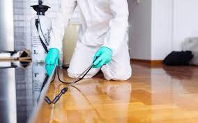 With these increases there are increasing need for an exterminator who knows what they are doing. Complete List Of Approved Pest Control Companies In Sharjah Mybayut