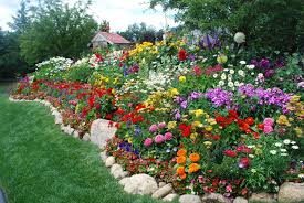 Pin By Deborah Silver On All Colors Bright And Beautiful Country Cottage Garden Cottage Garden Outdoor Yard Ideas