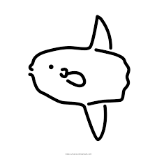 Ocean sunfish mola mola the largest bony fish living in our oceans. Sunfish Coloring Page Ultra Coloring Pages