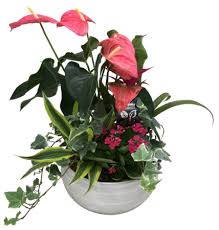 Affiliate future provides advertisers with an effective marketing solution through its affiliate network and tools. Flower Store In Milton On Same Day Delivery Karen S Flower Shop