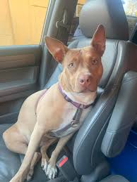 What mix do you think my Honey Butter is?