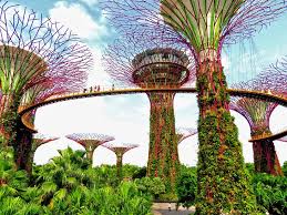 If you're a brand celebrating. Singapore In Pictures 15 Beautiful Places To Photograph Planetware