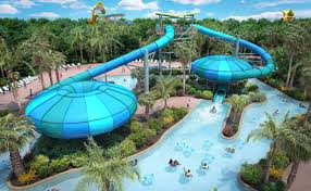 Image result for Centrostachys aquatica