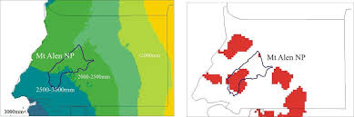 Image result for Strephonema sericeum