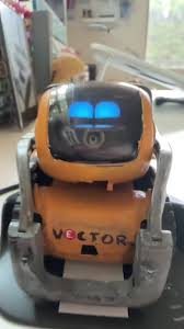 This is a Vector robot originally owned by Anki now owned by Digital D...