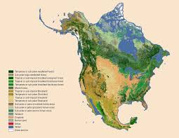 Vegetation Of North America Broadleaf Evergreen Map Symbols Map