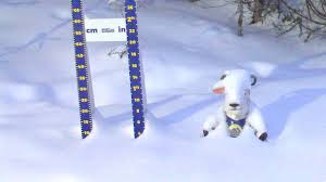 Banff Sunshine Village