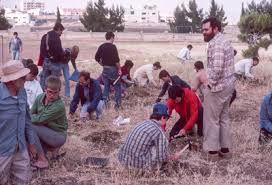 Larry Herr Chief Archaeologist-Supervising Practice" by Larry Mitchel