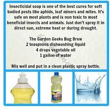 Homemade Insecticidal Soap Recipe Insecticidal Soap Organic Gardening Pest Control Pests