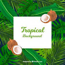 Free Free Summer Background Svg 498 SVG PNG EPS DXF File