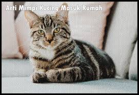 Menurut ibnu sirin tudung wanita diertikan sebagai suaminya, pengawasnya atau atasannya. Arti Mimpi Kucing Masuk Rumah Menurut Islam Dan Primbon