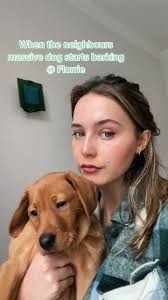 Nick Frey Neighbors Dog