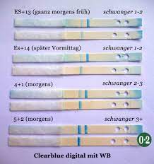 Ab wann ist ein schwangerschaftstest positiv nach dem eisprung? Test Test Test Schwangerschaftstest Nullpunktzwo