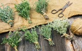 Maybe you would like to learn more about one of these? How To Harvest Thyme Without Killing The Plant