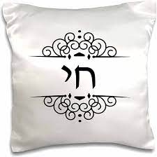 Capa de almofada 3D Rose Chai-Hebrau Word for Life-Hai com design de  símbolo judaico, 40,64 cm x 40,64 cm, preto/branco | Amazon.com.br