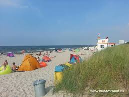 Kostenlose lieferung für viele artikel! Hundestrand Rostock Diedrichshagen Hundestrand Verzeichnis