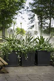 Flower Container Gardening Ideas Garten Container Garten Vorgarten