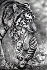 How to draw animals an easy drawing guide for starting. 40 Realistic Animal Pencil Drawings Pencil Drawings Of Animals Realistic Animal Drawings Animal Drawings