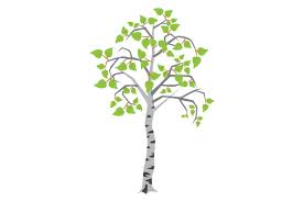 Download Birch Tree Svg Cut File By Creative Fabrica Crafts Creative Fabrica PSD Mockup Templates