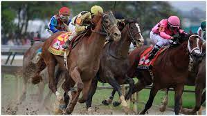 … you know how much trouble he could get in if they found out … the six horses we killed? Maximum Security Hits War Of Will S Leg Video Replay Heavy Com