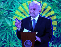 Image result for mexicanos fumando marihuana