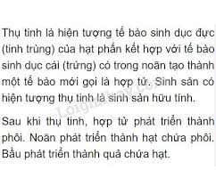 B >> học trực tuyến lớp 11 năm học mới trên tuyensinh247.com. Ly Thuyáº¿t Thá»¥ Tinh Káº¿t Quáº£ Va Táº¡o Háº¡t Sgk Sinh Lá»›p 6