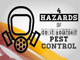 Maybe you would like to learn more about one of these? 4 Hazards Of Diy Pest Control Topbest Termite Control
