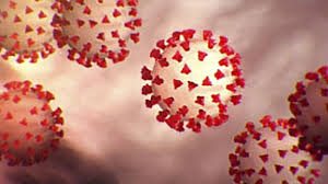 117 in interior health region. More New Coronavirus Cases In Interior Health Region Timeschronicle Ca