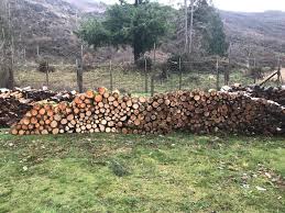 Home forums > fireside chat > everything else (off topic) > ridiculous. Fresh Alder Firewood Hoarders Club