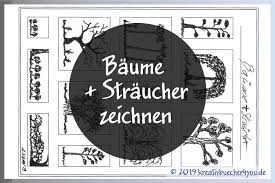 Baume Und Straucher Einfach Zeichnen Und Skizzieren Beispiele