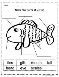 Ocean Themed Activities Ocean Lesson Plans Ocean Activities Sea Activities