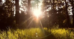 150 Funny And Lovely Sunshine Quotes For Instagram