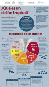Pin En Infografias
