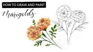 April birth flowers are daisies: Watercolour Marigolds How To Draw And Paint October S Birth Month Flower Youtube