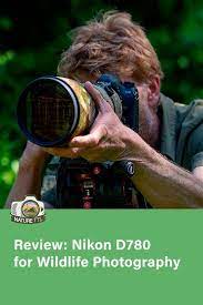 Pin On Wildlife Photography
