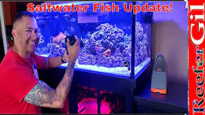2.1.4 penn plax vertex aquarium kit, 2.7 gallons; 100 Gallon Reef Tank Saltwater Aquarium Fish Update Youtube