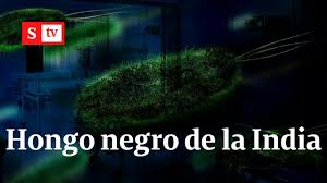 Jun 07, 2021 · los vecinos de india, pakistán y bangladesh, también tienen alta prevalencia de diabetes en sus poblaciones y han tenido casos de hongo negro, pero sus números no son tan altos. Hongo Negro De La India Esto Es Lo Que Se Sabe De La Preocupante Enfermedad Videos Semana Youtube