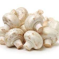 Using a kit to grow mushrooms is easy, fun, educational, and delicious! White Button Mushrooms Gourmet S Finest