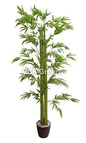 Check spelling or type a new query. Artificial Bamboo Plant X 6 170cm Plants Bamboo Plants House Plants