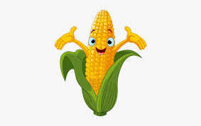 Corn on the cob drawing. Vegetable Cartoon Drawing Clip Art Corn Cob Free Transparent Png Download Pngkey
