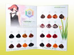 Oem Manufacturer Salon Professional Hair Dye Color Chart Color Swatch Book Buy Salon Professional Hair Color Dye Chart Iso Hair Dye Color