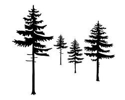 Black White Pine Trees Modern Minimalist Tree Print Cabin Decor Nature Printable Art Lake House White Pine Tree Pine Tree Silhouette Pine Tree Drawing