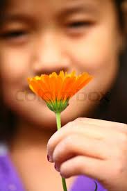 Close up of face of child hand picking up a daisy flower