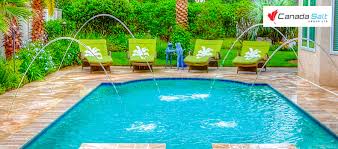 Check spelling or type a new query. How To Care For Above Ground Pool Canada Salt