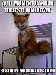 Imagini Funny - Imagini Funny lisäsi uuden kuvan.