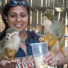 Manisha Grover (grovermanisha)