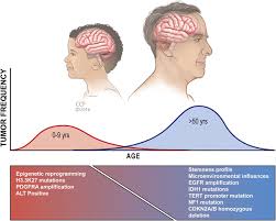 This guide shows you the basics on the types of brain cancer and how they're treated. Brain Cancer Stem Cells In Adults And Children Cell Biology And Therapeutic Implications Springerlink