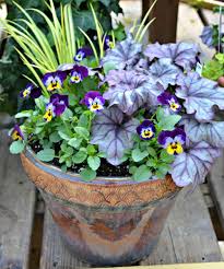 Spring is the perfect time of year to fill your home and garden with beautiful flowers. Early Spring Container Garden Pansies Heuchera Ogon Grass I Fairview Garden Center I Raleigh Nc I Www Fa Early Spring Flowers Heuchera Container Gardening