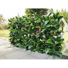 Check spelling or type a new query. E Joy 24 Piece Artificial Topiary Hedge Plant Privacy Fence Screen Greenery Panels Suitable For Both Outdoor Or Indoor Garden Or Backyard And Home Decorations European Laurel 20 L X 20 H